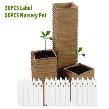 Recipiente de semente de papel para planta, 50 peças, viveiro de sementes de papel, vaso de mudas de jardim, biodegradável, ferramentas de jardinagem doméstica 2024 - compre barato