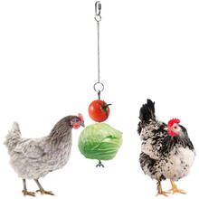 New Hanging Feeder Toy Stainless Steel Lock Catch Food Vegetable Fruit for Hens Birds Parrots Cockatoo 2024 - buy cheap