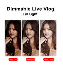 Ulanzi 96 dslr led luz de vídeo na câmera photo studio iluminação quente vlog led fill lâmpada luz para smartphone dslr slr câmera 2024 - compre barato