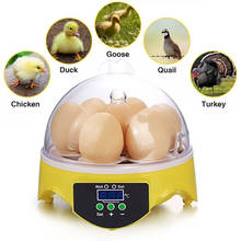Mini incubadora de 7 huevos para aves de corral, Incubadora Digital de temperatura, Incubadora de huevos, pollo, pato, pájaro, Paloma 2024 - compra barato