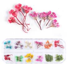 1 Box Crystal Epoxy Filler Dry Flower Handmade Flowers DIY Craft Silicone Molds UV Resin Filling Material Decoration Accessories 2024 - buy cheap