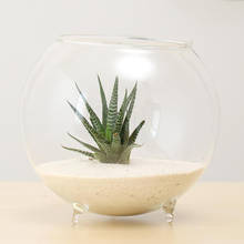 Прозрачная стеклянная ваза, цветочный горшок, контейнер для террариума, бачок чаша для мини-рыбы 2024 - купить недорого