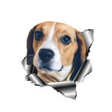 Dasasaru beagle adesivo de metal para carro, cão de estimação, adesivo de decalque personalizado, laptop, motocicleta, acessórios de decoração pvc, 13cm * 12cm 2024 - compre barato