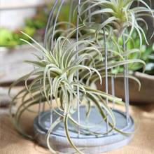 MeterMall Artificial Pineapple Grass Air Plants Fake Flowers as Home Wall Decoration 2024 - buy cheap