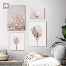 Minimalist Pink Protea Flower Canvas Poster Nordic Blush Floral Print Wall Art Painting Botanical Decoration Pictures Room Decor 2024 - buy cheap