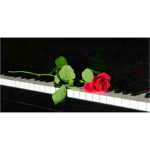 5d diy diamond painting piano rose 40x80cm full square diamond cross stitch 3d diamond mosaic crafts stickers 2024 - buy cheap