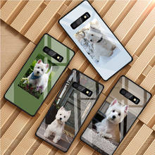 Westie-capa de vidro temperado para celular samsung, galaxy s8, s9, s10, s20 plus, j8, j6, j4 2018, note 8, 9 e 10, case 2024 - compre barato