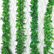 Hiedra Artificial para colgar en la pared, enredadera de ratán verde, plantas falsas, guirnalda, bricolaje, 12 Uds. 2024 - compra barato