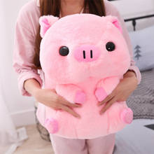 1pc 40cm suave Kawaii amor cerdo de peluche almohada Animal lindo cojín mano chino cerdo del zodiaco juguete regalo de cumpleaños de la muñeca de chico 2024 - compra barato