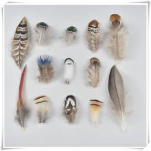 Beautiful Natural Pheasant Duck Feathers 20pcs/lot 3-15cm DIY Wedding Decorative party Plumes and Stage tool Feathers for crafts 2024 - buy cheap