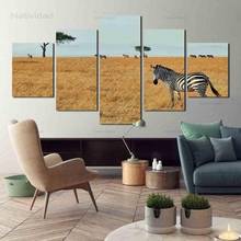 Modern Style Zebra In The Grass 5 Pieces Hd Print Frameless Canvas Painting Wall Art Posters for Living Room Home Decoration 2024 - buy cheap