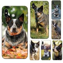 Perro de ganado australiano celular suave bolsas para Galaxy A3 A5 A6 A6s A7 A8 A9 A10 A20E A30 A40 A50 A60 A70 A80 A90 Plus 2018 2024 - compra barato