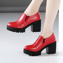 Plus Size 32-43 Deep Mouth Block High Heels Pumps Women Fall Winter 2022 Side Zip Elegant Office Chunky Platform Shoes 2024 - buy cheap