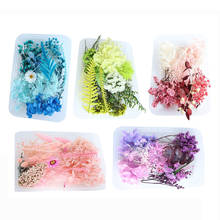 1Set Crystal Epoxy Filler Dry Flower Mixed Nail Stickers Decorations Resin Filling Material DIY Art Crafts Jewelry Making Tools 2024 - compre barato