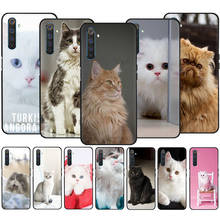 For OPPO A3S A5S A5 A7 A8 A9 A31 A32 A53 2020 A12S A52 A72 A92 A37 A39 A57 A59 Black Soft Silicone TPU Cover Case Angora cat 2024 - buy cheap