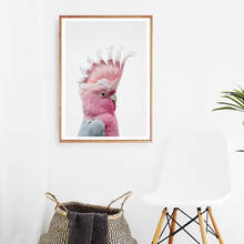 Pôster de pássaro australiano galah, pintura de tela para parede de animal australiano, fotografia moderna, decoração para berçário 2024 - compre barato