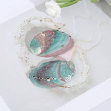 2pcs6-7cm Abalone shell natural conch shell fish tank landscape DIY handmade material painting room decoration photography props 2024 - buy cheap