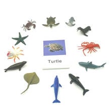 Montessori Toys Ocean Animal Match Cards and Figurines, Matching Game  Language Learning Materials Juguetes Montessori L1046F 2024 - buy cheap