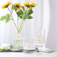 Прозрачная стеклянная ваза для дома, декорация для гидропонных растений, стеклянная бутылка для гостиной, украшение для сушеных цветов, ваза для цветов 2024 - купить недорого
