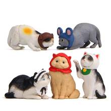Figuritas en miniatura para Cosplay de gatos y gatitos, juguetes para mascotas, casa de muñecas DIY, 5 piezas 2024 - compra barato