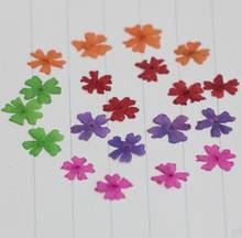 120pcs 10mm Pressed Dried Flower Cherry blossoms Verbena For Epoxy Resin Jewelry Making Postcard Frame Phone Case Craft DIY 2024 - buy cheap