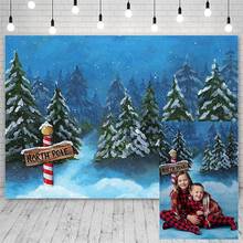 Avezano Photography Backdrops Merry Christmas Winter North Pole Snowflake Pine Decor Blue Banners Backgrounds For Photo Studio 2024 - buy cheap