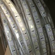 AC 110V 220V RGB 5050 Waterproof Flexible LED Strip+pulg,60leds/m LED Lighting dimmable,Factory provide good quality 2024 - buy cheap