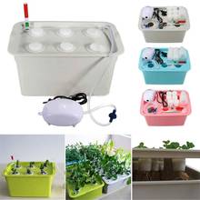 6-Hole Aerobic Type Soilless Cultivation Planting Box Hydroponic Plant Box For Indoor Cultivate Vegetable 2024 - buy cheap