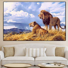 Um par de leões africanos animais óleo pintura tela impressões quadros mural arte imagem para sala de estar decoração casa quadros 2024 - compre barato