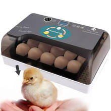 Светодиодный 12 инкубатор Смарт Брудер Полностью Автоматическая птица цыплят контроль температуры фермерский инкубатор для домашней птицы 2024 - купить недорого