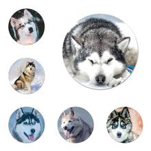 Animal husky bonito filhote de cachorro cão crachá broche acessórios para roupas mochila decoração presente 2024 - compre barato