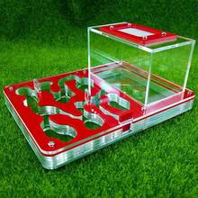 Red Acrylic Flat Ants nest Ants Farm For Pet Ants House Insect Terrarium 2024 - buy cheap