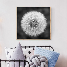 Nature Dandelion Flower Canvas Painting Modern Black White Art Print Picture Home Decor Living Room Abstract Wall Poster 2024 - buy cheap