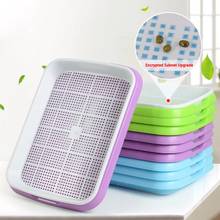 Seedling tray Plastic Double-Layer Seedling Sprouter Nursery Tray Hydroponics Basket Flower Plant Germination Tray Box 2024 - buy cheap