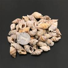 50Pcs Aquarium Decoration Natural Conch Spiral Seashell Beach Shell Cowry Tribal Jewelry Making Accessories Craft DIY Wholesale 2024 - buy cheap