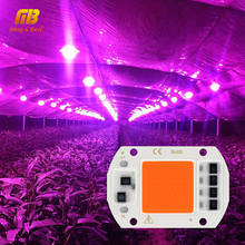 220V LED Grow Light COB Chip F6040 Phyto Lamp Full Spectrum 20W 30W 50W for Indoor Plant Seedling Grow Flower Growth Fitolamp 2024 - buy cheap
