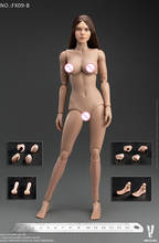 1/6 Scale VERYCOOL FX09 Female Seamless Body with head Brown/Blond Hair for 1/6 Clothes Painting Model 2024 - buy cheap