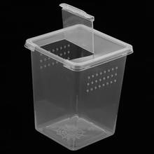 Caja de alimentación de plástico para reptiles, contenedor 2024 - compra barato