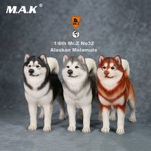 Figura DE ACCIÓN DE Alaskan Malamute para coleccionar, modelo de Animal a escala 1/6 Mr.Z n. ° 032, Material de resina, juguete para colección de 12 pulgadas 2024 - compra barato