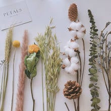 Diy buquê de eucalipto pampas de algodão grama flores secas naturais mesa decoração centros mesa acessórios foto ddecoração 2024 - compre barato