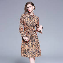 Женское модельное платье с длинным рукавом, Повседневное платье с принтом змеиной кожи, с принтом, для весны, 2020 2024 - купить недорого