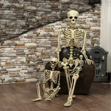 Esqueleto de Halloween de 40x12cm, tamaño completo, mano con Calavera, cuerpo, anatomía, modelo de accesorio, decoración de fiesta, casa de Horror 2024 - compra barato