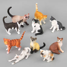 Modelo de animales de simulación de gatos para niños, juguete de PVC, serie de modelos de mano, flor, Gato amarillo, Tabby, Gato Qu Luo, regalo de Navidad 2024 - compra barato