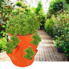 Container Planting bag Planer Strawberry Tomato Potato Vegetable Seedling Growing Orange Pot - compare prices