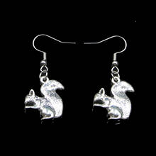 20Pairs Simple Design Double Sided Squirrel Drop Earrings For Women Girl Retro Drop Earrings Cute Small Object Earring Jewelry 2024 - buy cheap