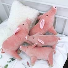 Muñecos de peluche de cerdo de simulación para niños, muñecos de peluche suaves de 30CM, regalo para niños 2024 - compra barato