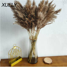 20/10/8PCS Dried Pampas Grass Wedding Backdrop Wall Decor Home Flower Vase Arrangement Shop Window Display Natural Reed Floral 2024 - buy cheap