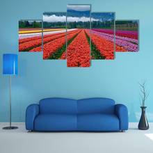 Tulip Festival Netherland 5 Panel Canvas Picture Print Wall Art Canvas Painting Wall Decor for Living Room Poster No Framed 2024 - buy cheap