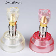 2pcs Dental Model #2020 - Clear and Pink Implant Model 2024 - buy cheap