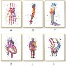 Abstract Anatomy Body Parts Posters Nordic Canvas Wall Art Prints Watercolor Meridian Painting for Medical Decor No Frame 2024 - buy cheap